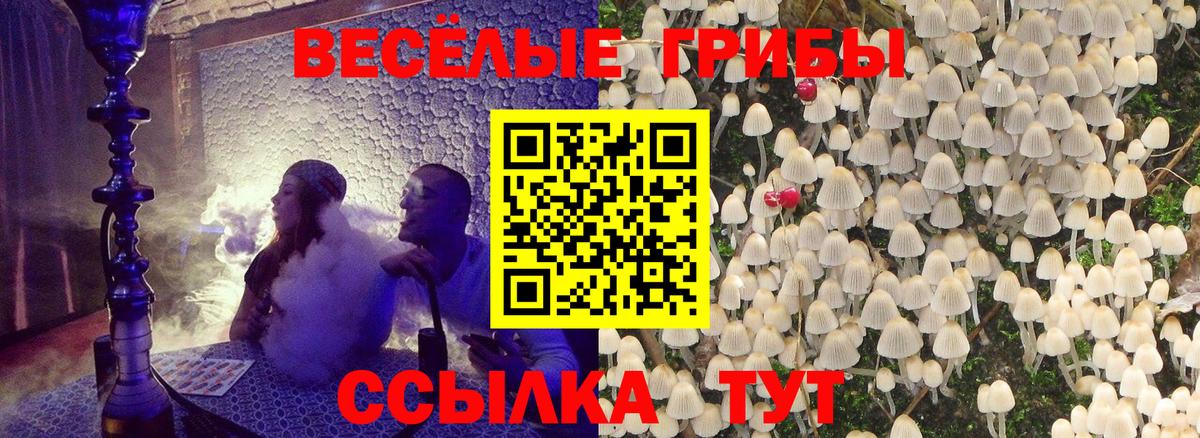 Галлюциногенные грибы Cubensis  Вход с VPN  магазин    Южноуральск  Псилоцибиновые грибы прущие грибы 